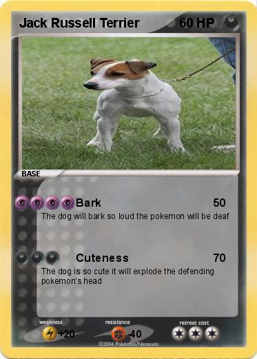 Pokemon Jack Russell Terrier