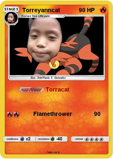 Pokemon Torreyanncat