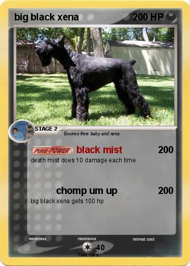Pokemon big black xena