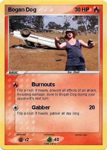 Pokemon Bogan Dog