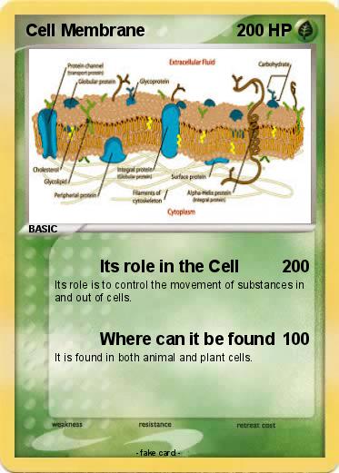 Pokemon Cell Membrane