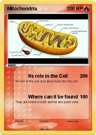 Pokemon Mitochondria