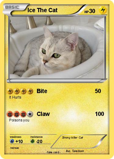 Pokemon Ice The Cat