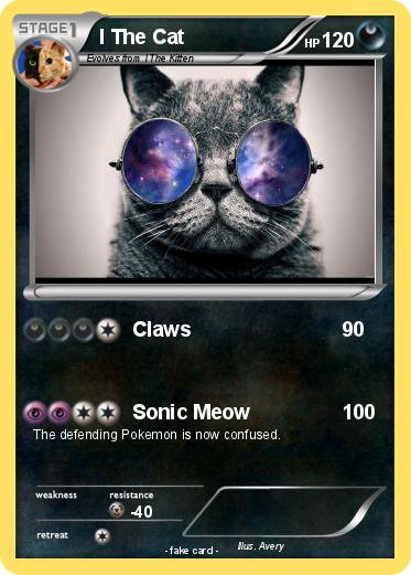 Pokemon I The Cat