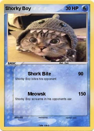 Pokemon Shorky Boy