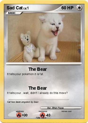 Pokemon Sad Cat