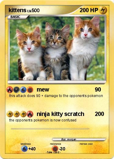 Pokemon kittens
