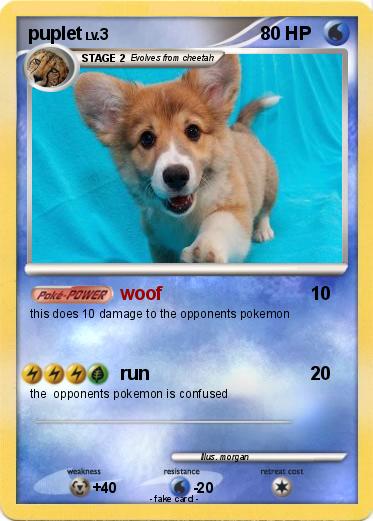 Pokemon puplet
