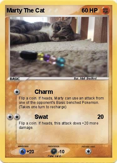 Pokemon Marty The Cat