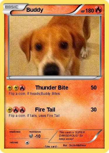 Pokemon Buddy