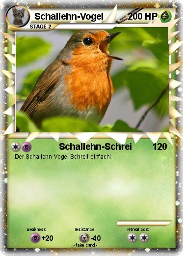 Pokemon Schallehn-Vogel