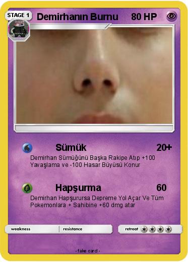 Pokemon Demirhanın Burnu