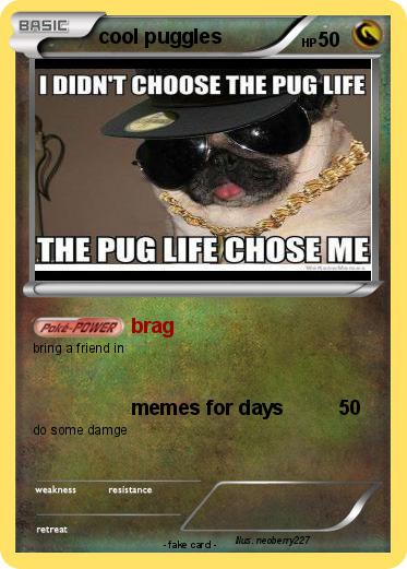 Pokemon cool puggles