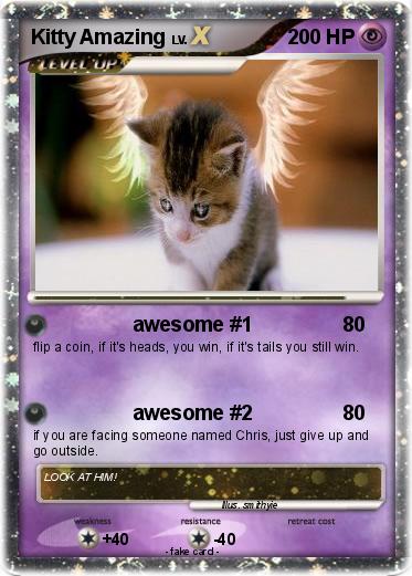 Pokemon Kitty Amazing