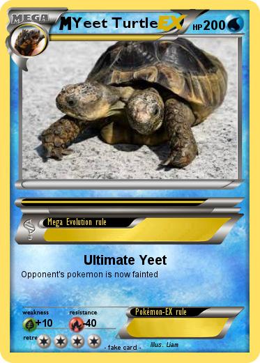 Pokemon Yeet Turtle
