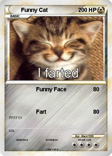 Pokemon Funny Cat