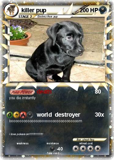 Pokemon killer pup