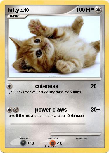 Pokemon kitty