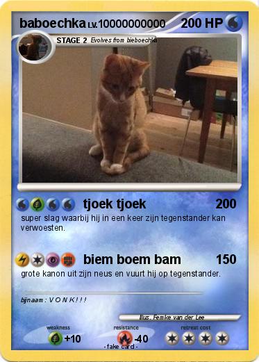 Pokemon baboechka
