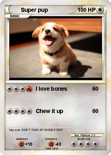 Pokemon Super pup