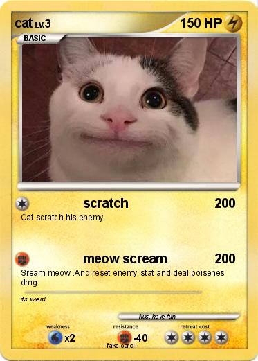 Pokemon cat