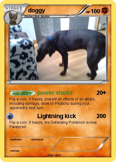 Pokemon doggy