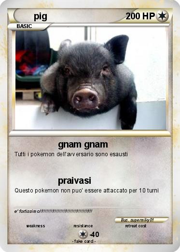 Pokemon pig