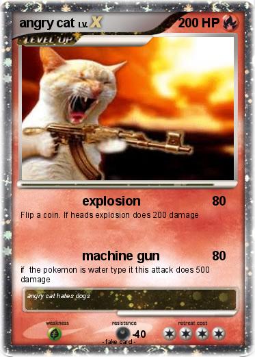 Pokemon angry cat