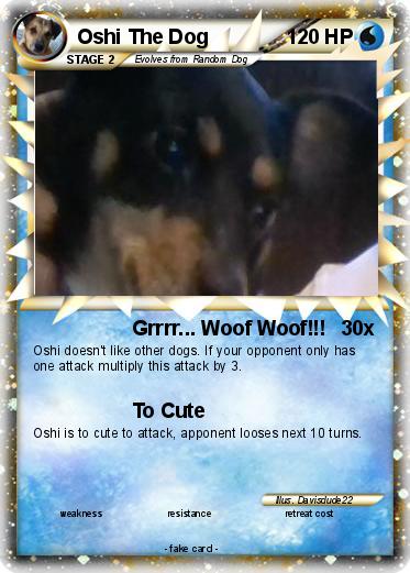 Pokemon Oshi The Dog