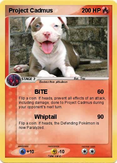 Pokemon Project Cadmus