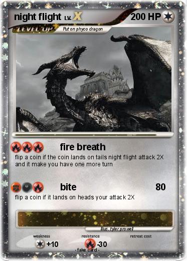 Pokemon night flight