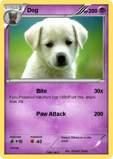 Pokemon Dog