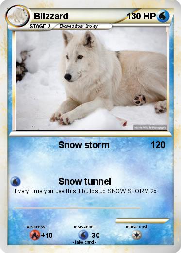 Pokemon Blizzard