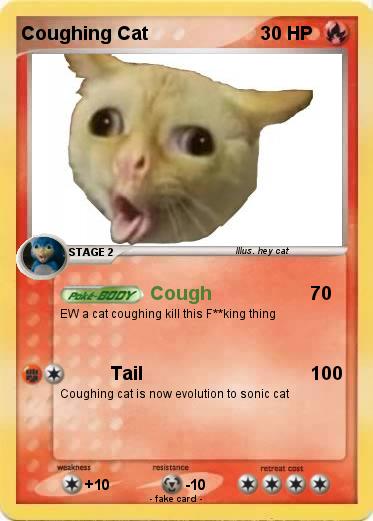 Pokemon Coughing Cat
