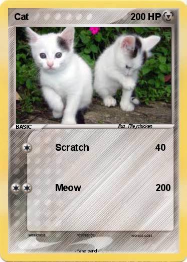 Pokemon Cat