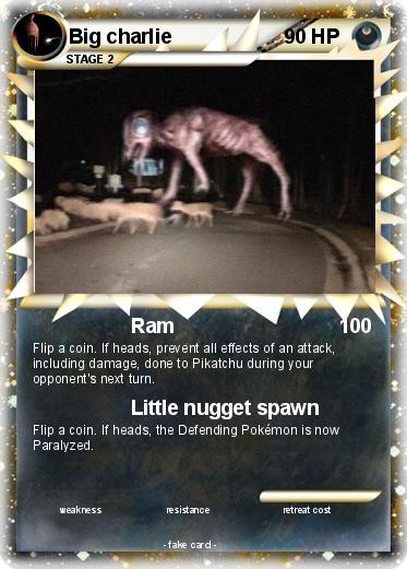 Pokemon Big charlie