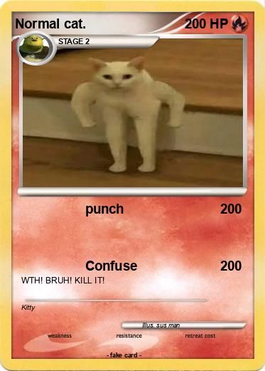 Pokemon Normal cat.