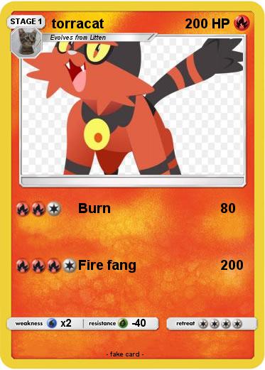Pokemon torracat