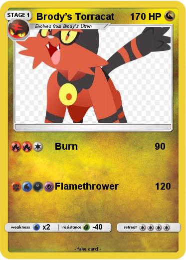 Pokemon Brody’s Torracat