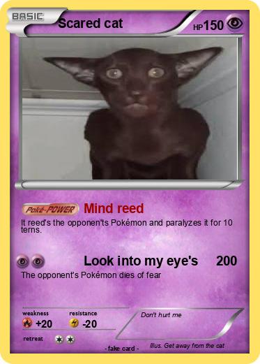 Pokemon Scared cat