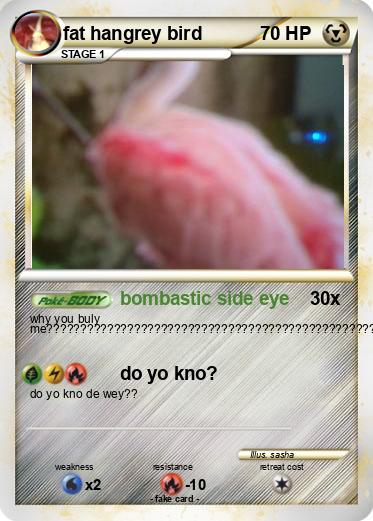 Pokemon fat hangrey bird