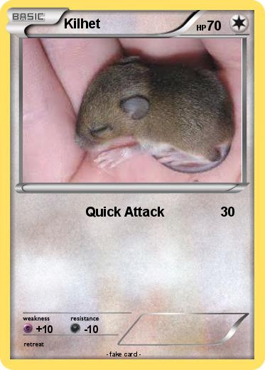 Pokemon Kilhet