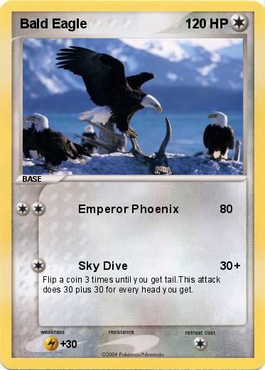 Pokemon Bald Eagle