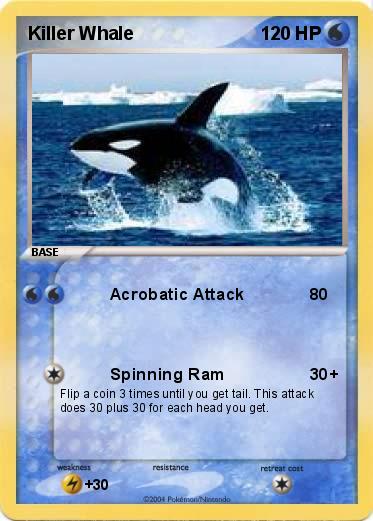 Pokemon Killer Whale