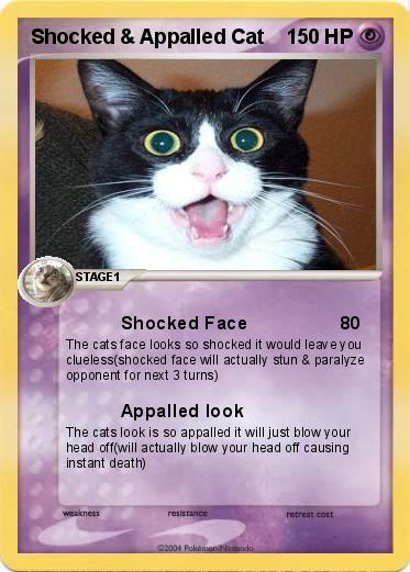 Pokemon Shocked & Appalled Cat