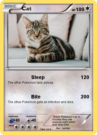 Pokemon Cat