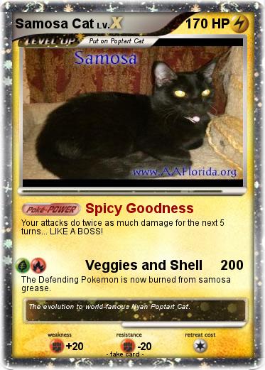 Pokemon Samosa Cat