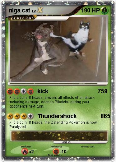 Pokemon niga cat