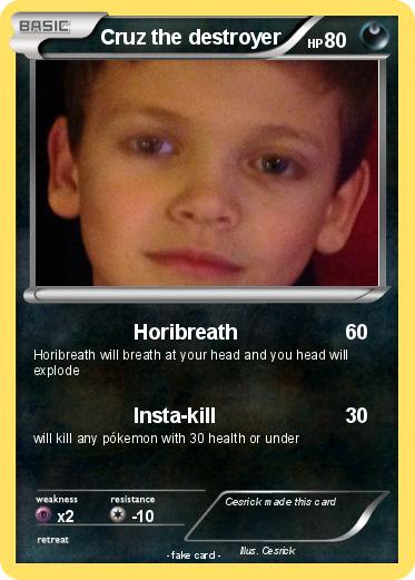 Pokemon Cruz the destroyer