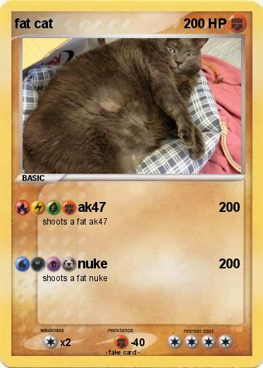 Pokemon fat cat